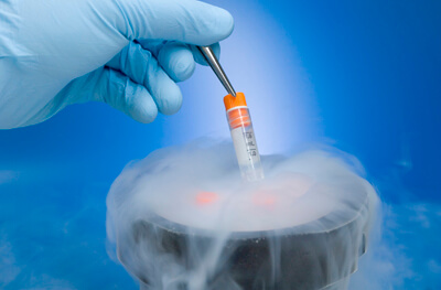 Embryo cryopreservation during IVF