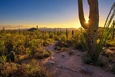 Pristine Desert Hiking Trails in Arizona